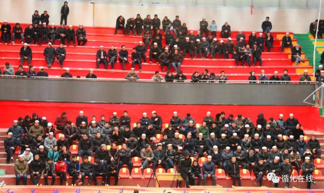 1549686835735898.jpg 1549686835735898.jpg